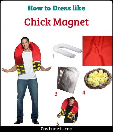 diy chick magnet costume|costume shop chick magnet.